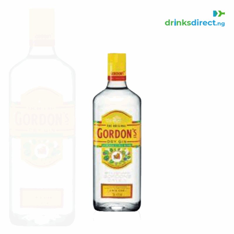 GORDONS LONDON DRY GIN 18CL