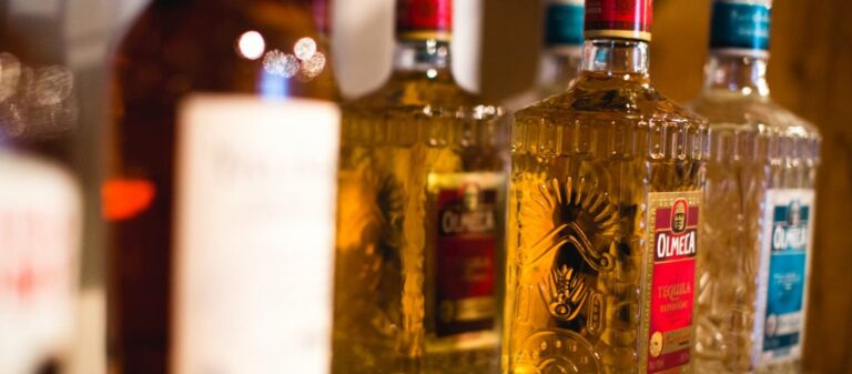 Intoxication: How the Body Processes Alcohol