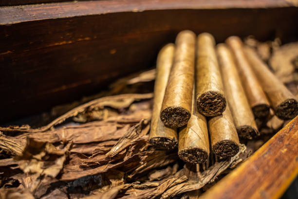 The Ultimate Guide to Identifying a High-Quality Cigar